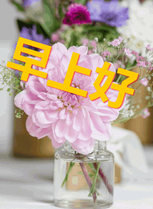 <b>邀请寿礼短信：传递祝福，彰显心意</b>